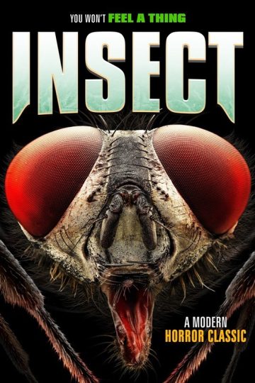 Insect ( 2021 )
