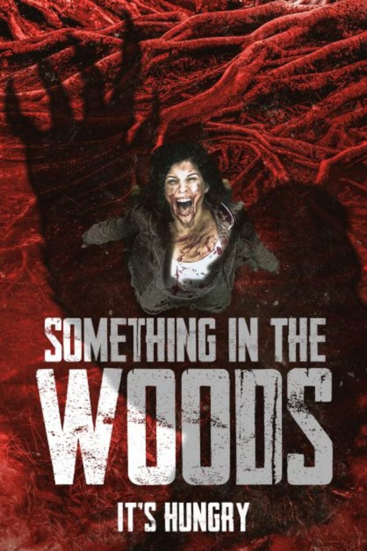 مشاهدة فيلم Something in the Woods 2022 اون لاين