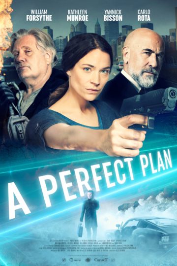 A Perfect Plan ( 2020 )