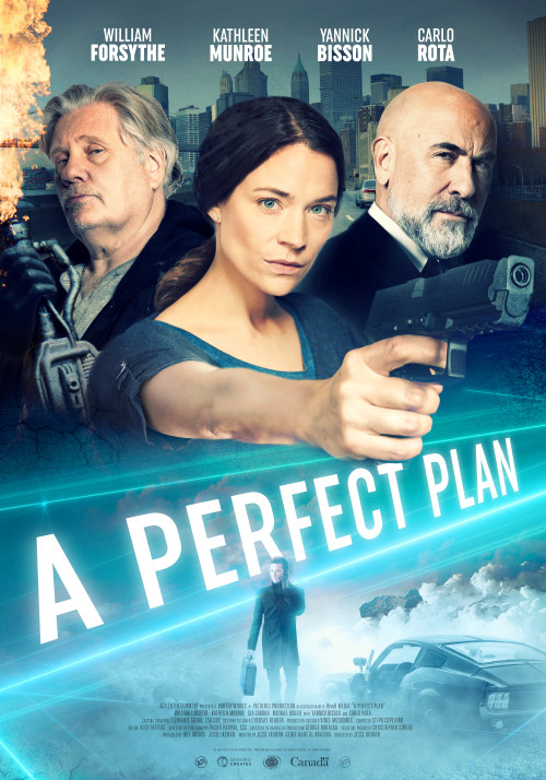 مشاهدة فيلم A Perfect Plan 2020 اون لاين
