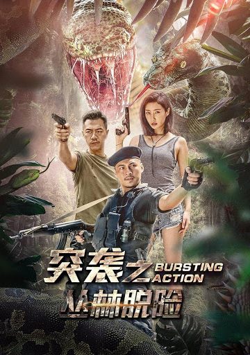 Bursting Action ( 2020 )