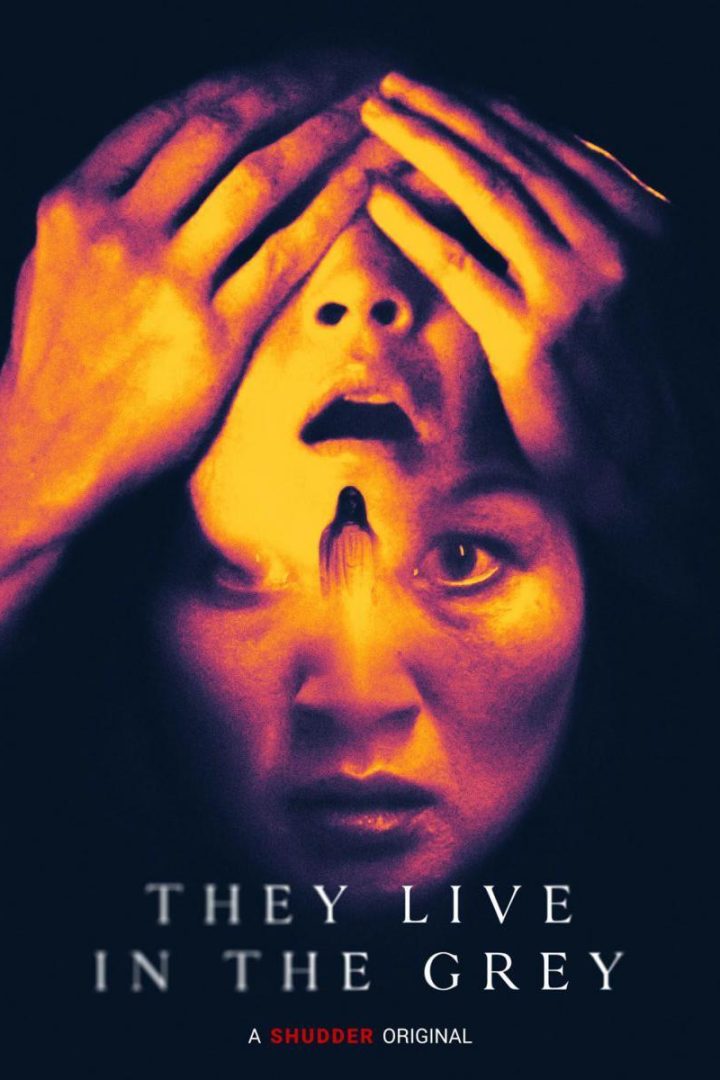 مشاهدة فيلم They Live in the Grey 2022 اون لاين