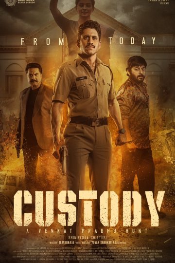 Custody ( 2023 )