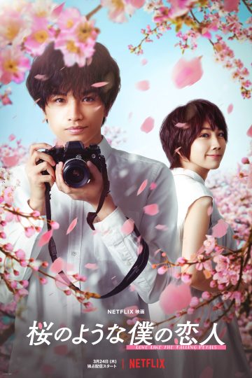 Love Like the Falling Petals ( 2022 )