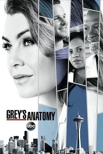 Grey’s Anatomy الموسم الرابع عشر الحلقة 6