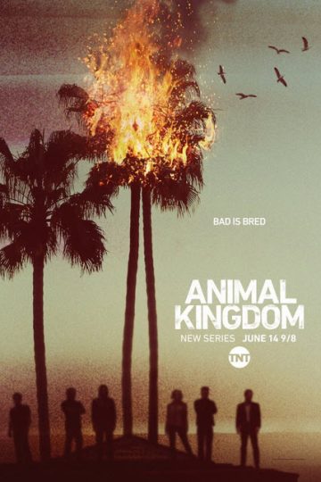Animal Kingdom الموسم الاول الحلقة 1