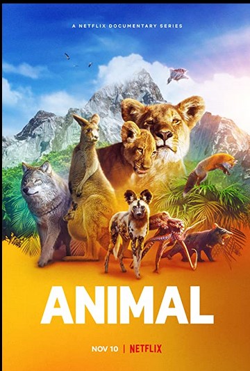 Animal الموسم الاول الحلقة 4