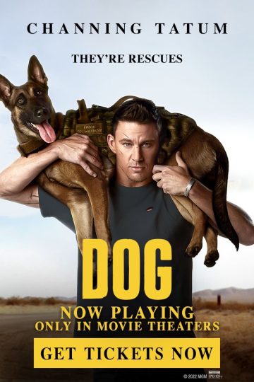 Dog ( 2022 )