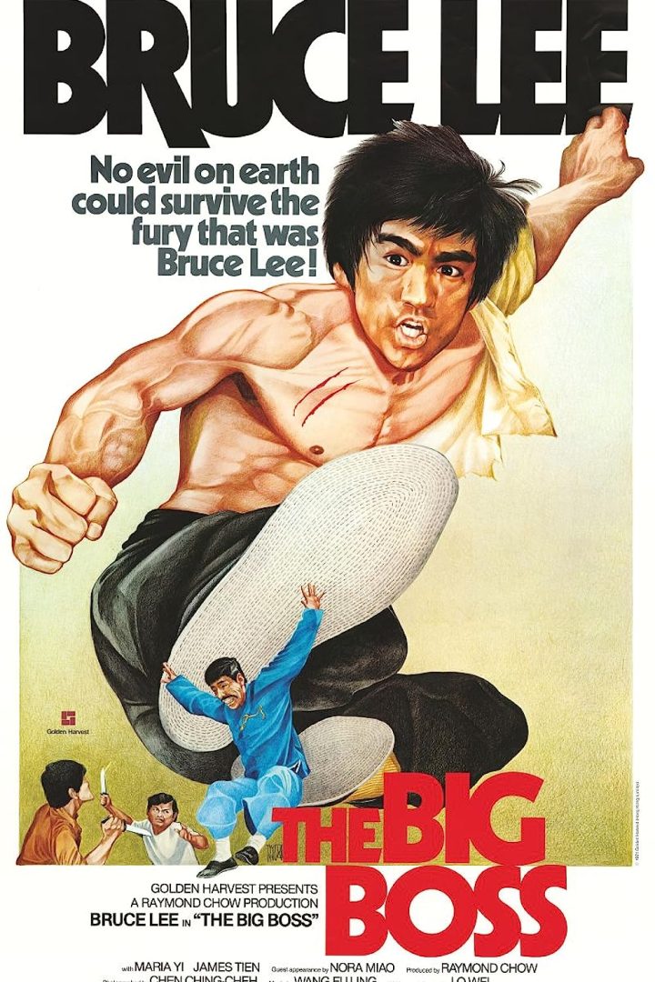 مشاهدة فيلم The Big Boss 1971 اون لاين