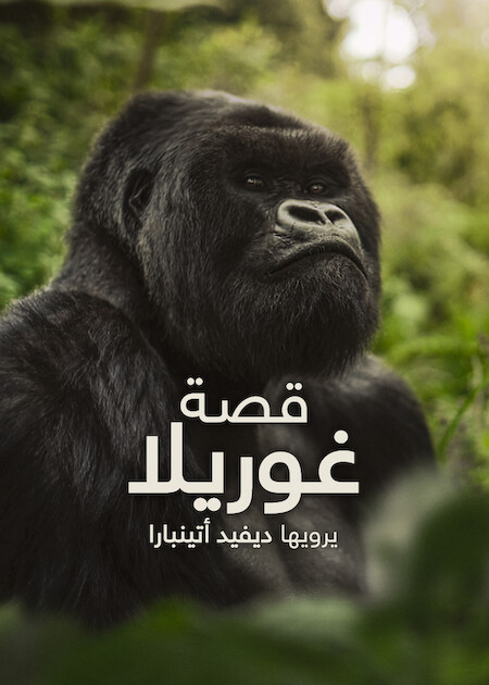 مشاهدة فيلم قصة غوريلا: يرويها ديفيد أتينبارا 2026 اون لاين